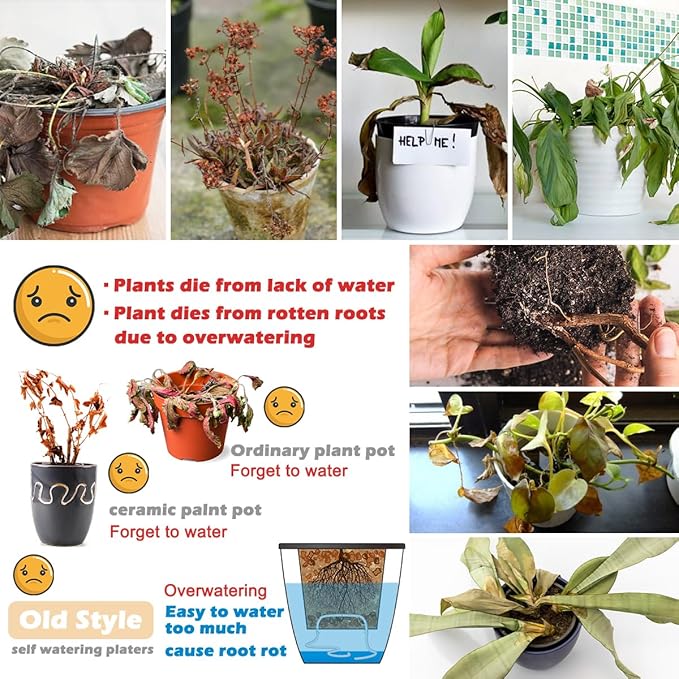 5 Pack Self Watering Plant Pots 5/6.7/8.4 In Self Watering Planters - Image 3