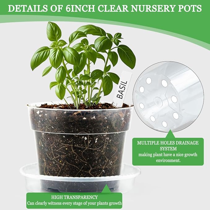 BTPLASTIK Clear Plastic Nursery Pots - Image 3