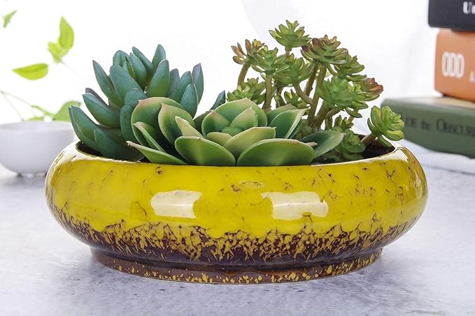 VanEnjoy 7.3 inch Round Large Shallow Succulent Ceramic Glazed Planter Pots - Image 3