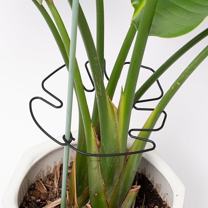 5PCS Monstera Plant Stem Support -7.3*6.25IN Adjustable Metal Stake by Yohsnor