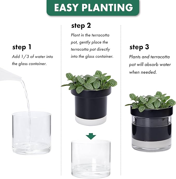 Phoenix Vine 4 Inch Self Watering Planter Pot - Image 7