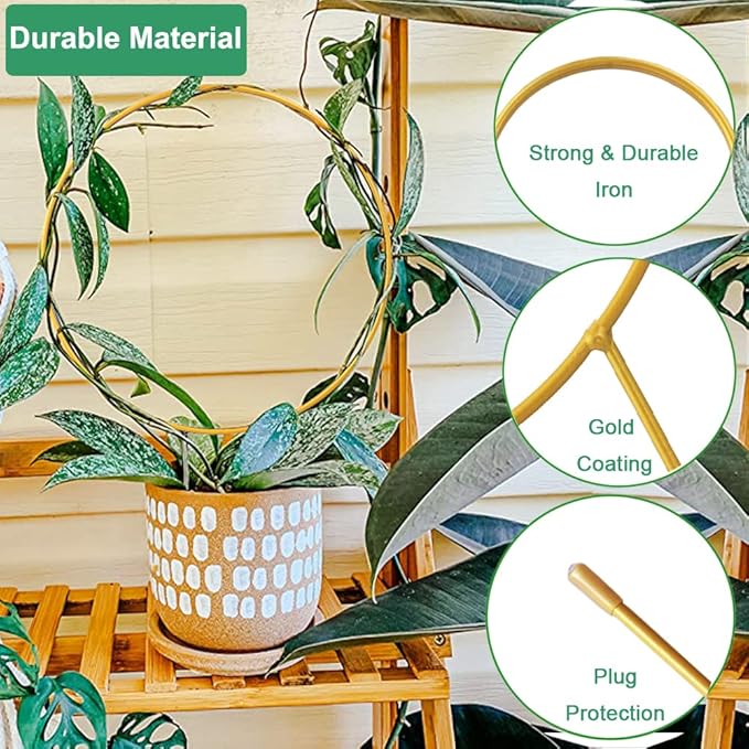 2 Pack Circle Trellis for Climbing Plants Indoor, Flower Houseplant Hoya - Image 4
