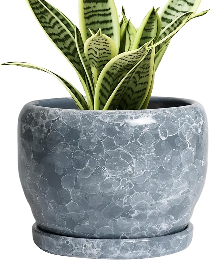 SQOWL 6 Inch Plant pots Indoor by SQOWL