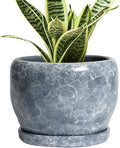 SQOWL 6 Inch Plant pots Indoor by SQOWL