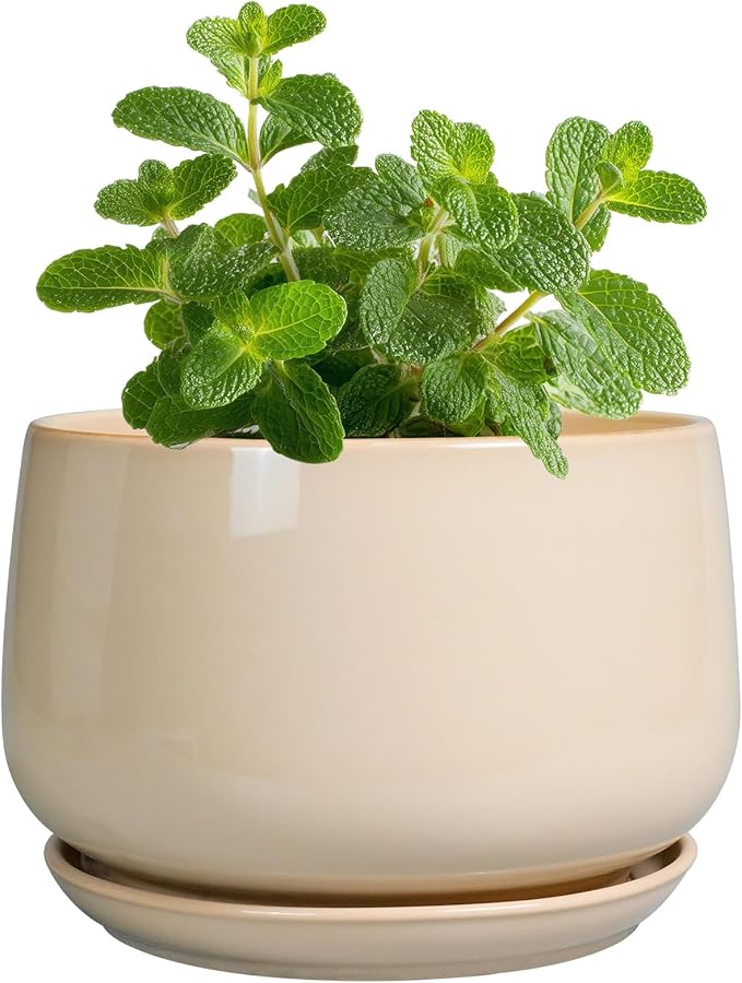 G EPGardening 4 inch Plant Pots by GEPGardening