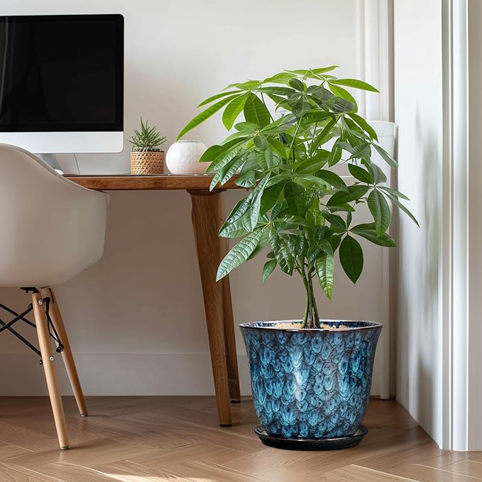 Ceramic Plant Pots - Image 3