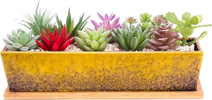 Succulent Pots - Large Succulent Planter Pots by ARTKETTY