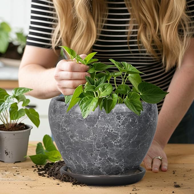 8 Inch Plant Pot - Image 7