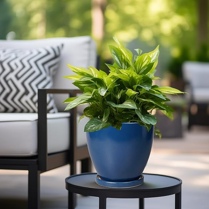 Ceramic Plant Pot - Image 5