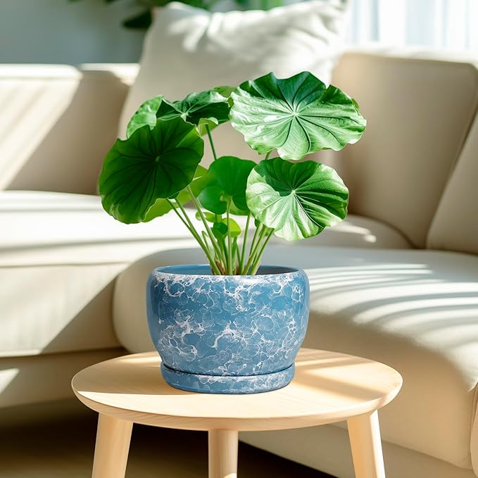 SQOWL Ceramic Pots for Plants - Image 2