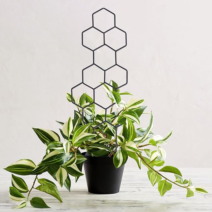 Small Trellis for Potted Plants, 15.94 inch Metal Plant Trellis for Climbing - Image 5