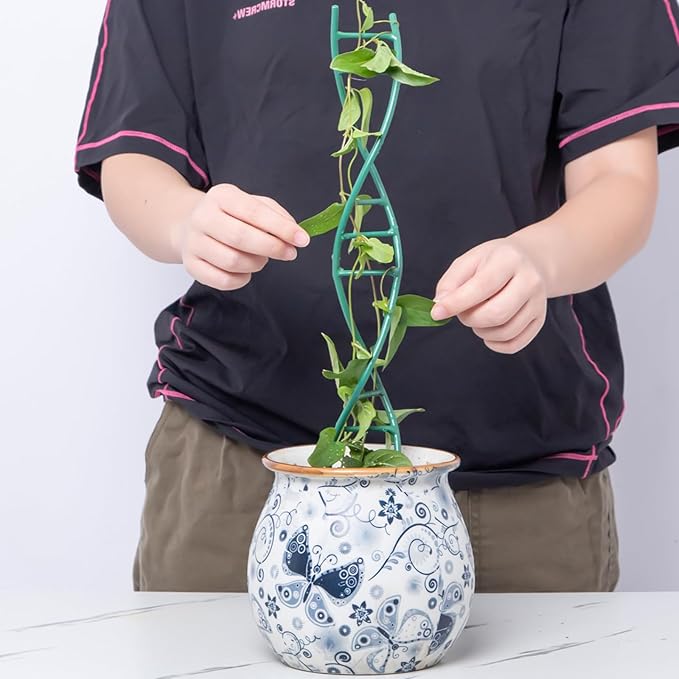 Indoor Plant Trellis for Potted Plants - Image 4