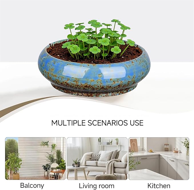 7.3 Inch Succulent Planters Pots Shallow Ceramic Glazed Planter Pots, Lotus - Image 6