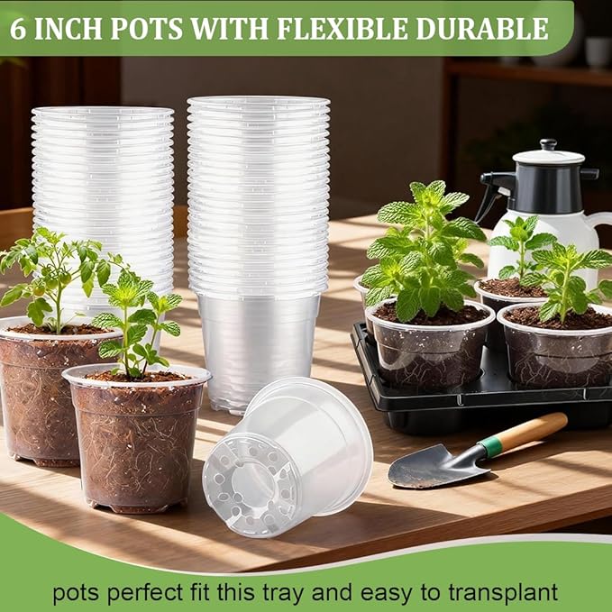 30 Pack 6 Inch Clear Nursery Pots and 5 Pack 6 Cell Round Plant Pot Trays - Image 4