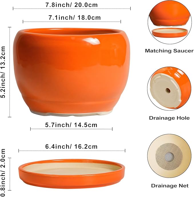 SQOWL Ceramic Pot for Plants - Image 3