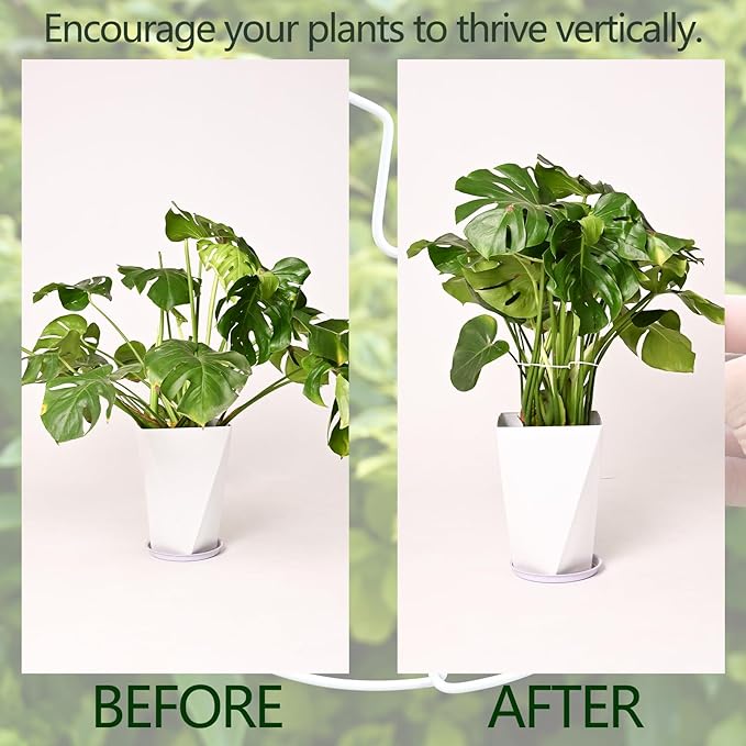 5PCS Monstera Plant Stem Support White 9 * 7.6in - Image 3