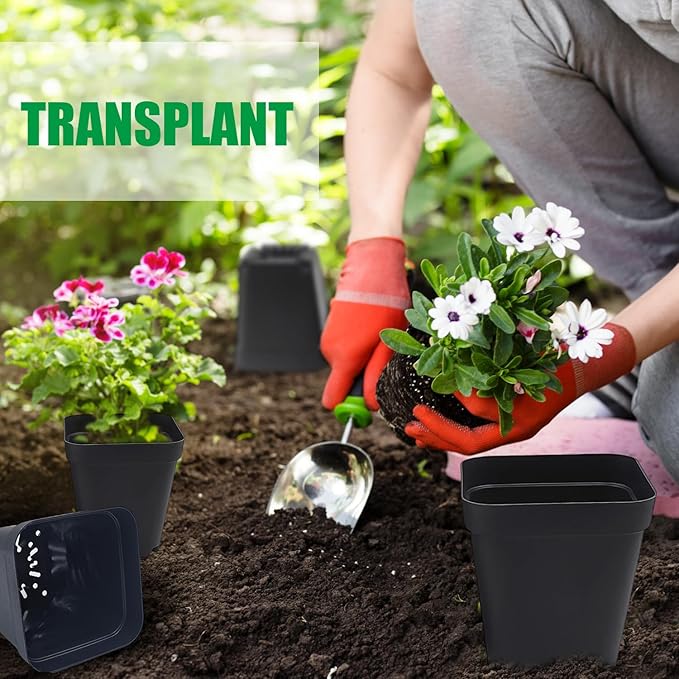 Square Nursery pots 4 Inches 60Pcs, Seedling Plastic Seeds propogation Growing - Image 5