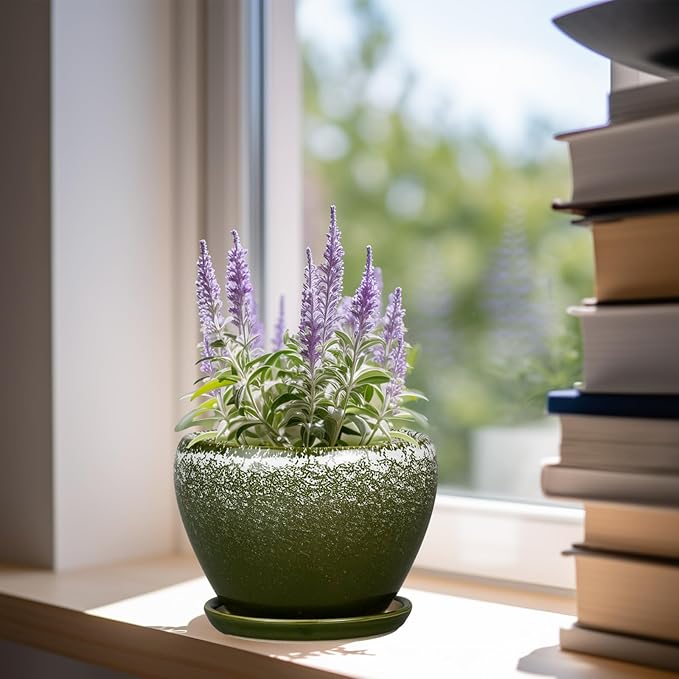 6 Inch Plant Pot - Image 4