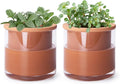 Phoenix Vine 4 Inch Self Watering Plants Pot, Design Terracotta Pot by Phoenix+Vine