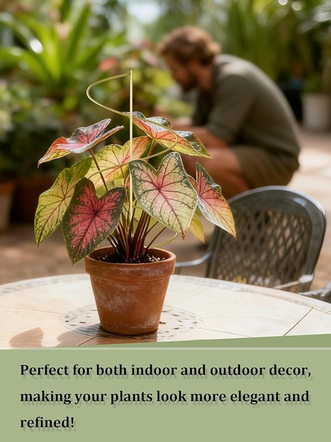 4 Pack Small Wavy Trellis for Potted Plants Indoor, 15 in Garden Trellises for - Image 4