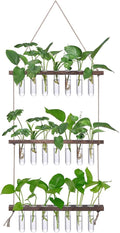 XXXFLOWER Wall Hanging Propagation Station by XXXFLOWER
