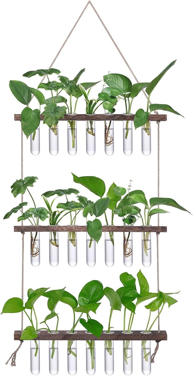 XXXFLOWER Wall Hanging Propagation Station by XXXFLOWER
