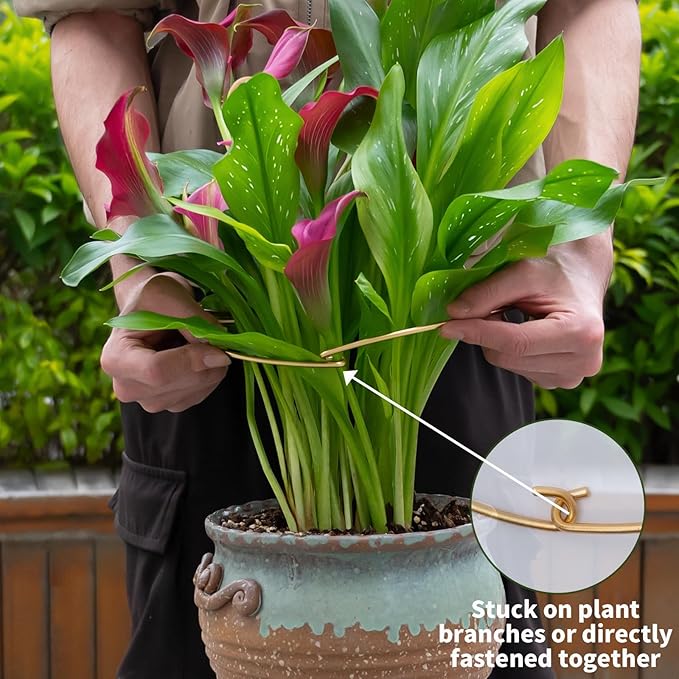 5PCS Monstera Plant Stem Support - Image 4