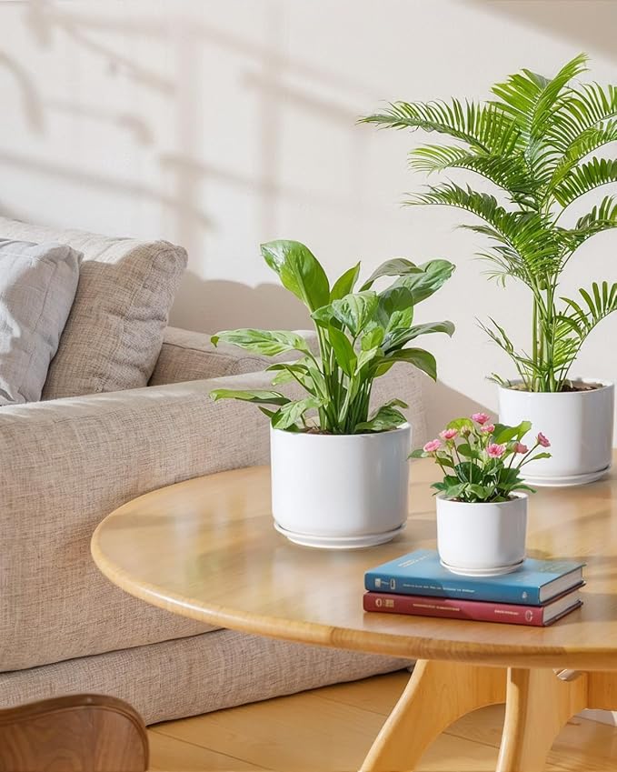 EFISPSS Plant Pots, 4+5+6 Inch Pots - Image 5
