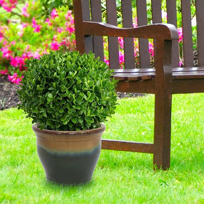 Sunnydaze Large Ceramic Plant Pot - Image 8
