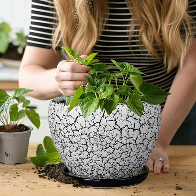 Ceramic Plant Pot 8 Inch - Image 4