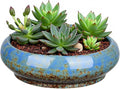 7.3 Inch Succulent Planters Pots Shallow Ceramic Glazed Planter Pots, Lotus by Unknown