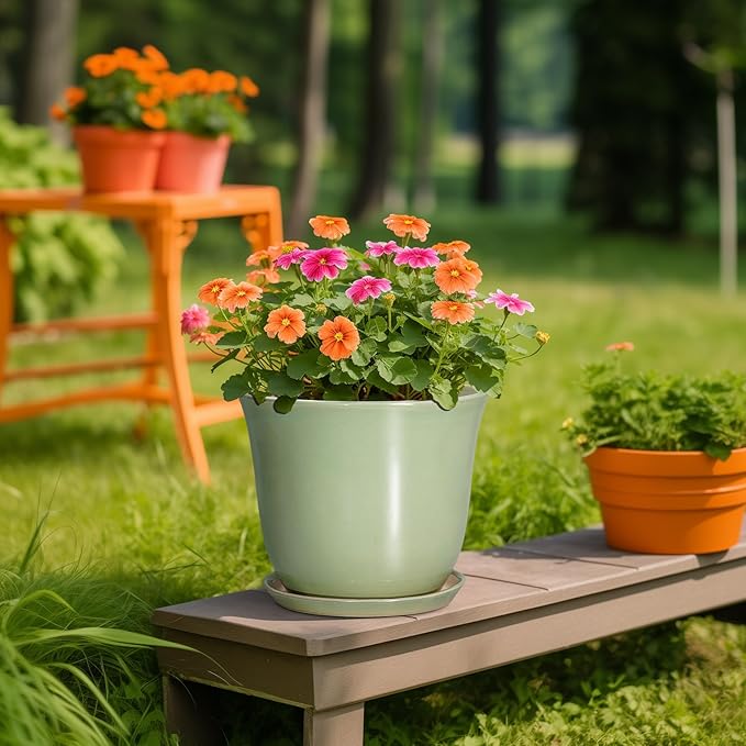 Ceramic Pots for Plants - Image 5
