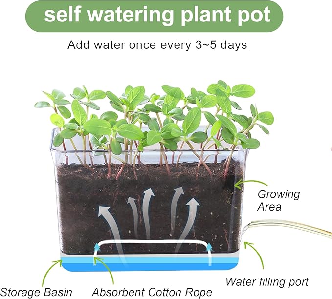 Self Watering Planters - Image 4