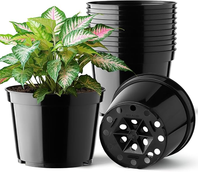 BTPLASTIK 15 Pack 6 Inch Plastic Plant Pots by BTPLASTIK