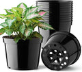 BTPLASTIK 15 Pack 6 Inch Plastic Plant Pots by BTPLASTIK