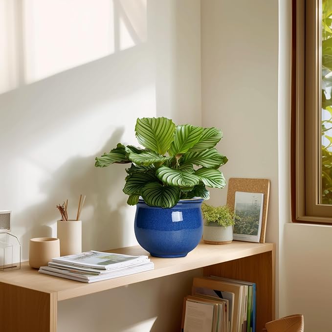 6 Inch Self Watering Pots, Ceramic African Violet Planter - Image 7