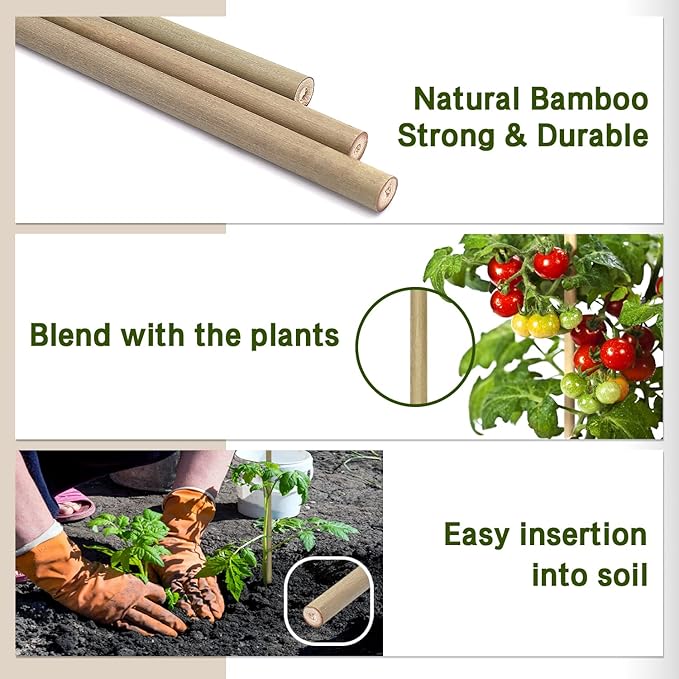 Plant Stakes, 12 Inches Natural Garden Bamboo Sticks, BOVITRO 20Pcs Plant - Image 4