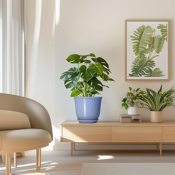 Ceramic Pots for Plants - Image 7
