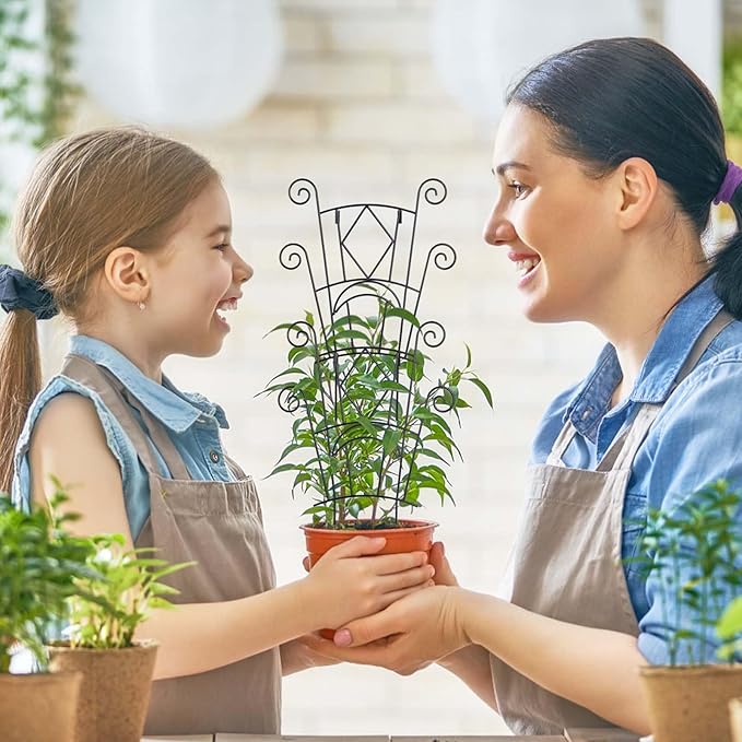 Stackable Plant Support Stakes, 2 Pack Metal Twig Plants Trellis - Image 7