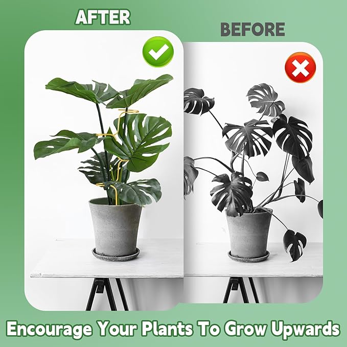 succulentlovers 4PCS Indoor Plant Support Stakes, 12.6 Inch Metal Monstera - Image 6