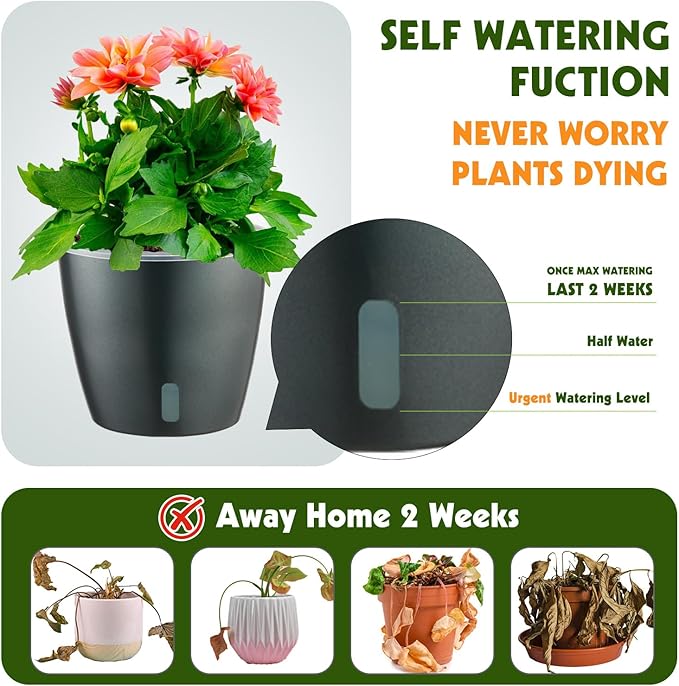 Self Watering Pots for Indoor Plants, Small African Violet Pots - Image 2