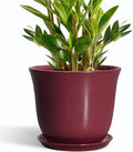 Ceramic Plant Pots by SUNPOTFOR
