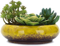 VanEnjoy 7.3 inch Round Large Shallow Succulent Ceramic Glazed Planter Pots by VanEnjoy