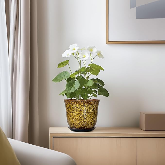 Ceramic Plant Pots - Image 6