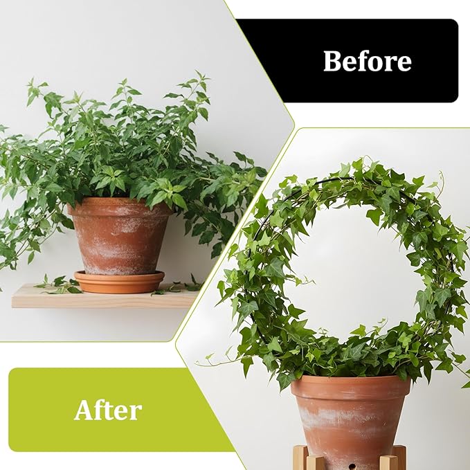 2 Pcs Trellis for Climbing Plants Indoor 14.5" Hoya Trellis Set Small Plant - Image 4