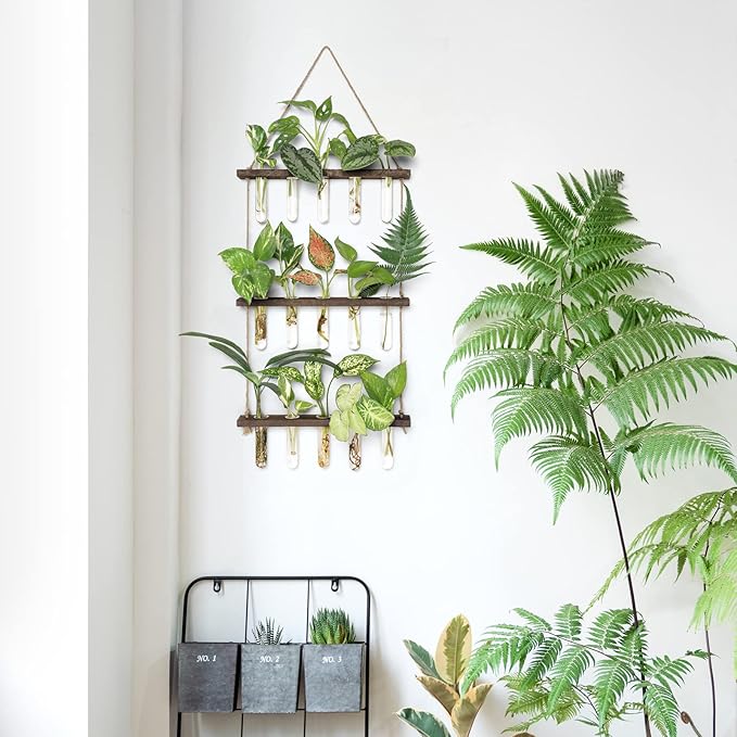 Mkono Plant Propagation Tubes, 3 Tiered Wall Hanging Terrarium - Image 2