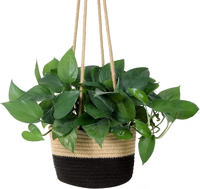 Hanging Planter Basket Jute Rope Woven Plant Hangers Indoor Hanging Plant - Image 4