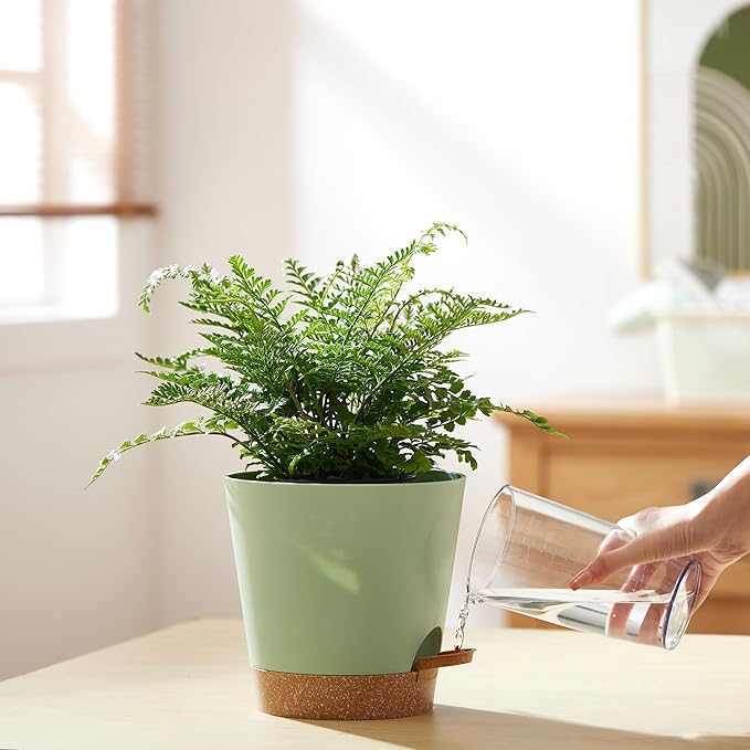 FaithLand 2-Pack 8 Inch Planter Pots - Image 7