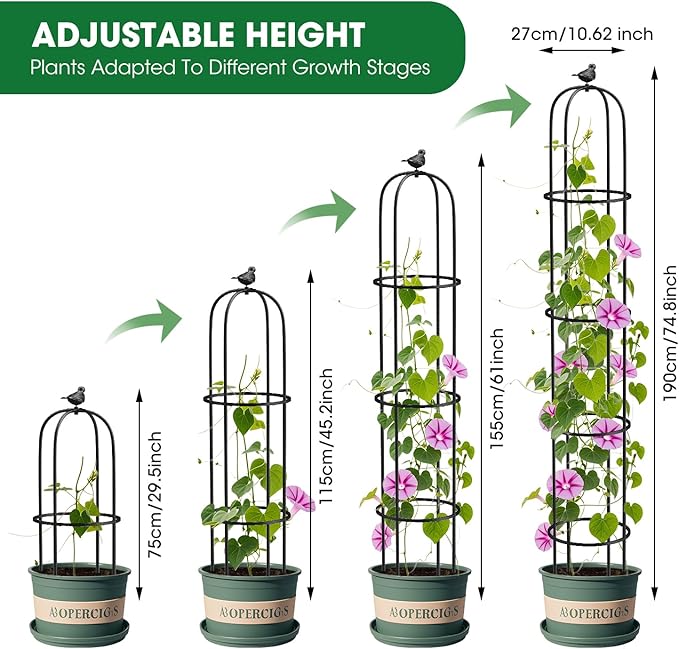 6.2ft Garden Obelisk Trellis for Climbing Plants Rustproof Metal Pipe - Image 2