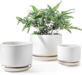 LE TAUCI Ceramic Plant Pots, 4.3+5.3+6.8 inch, Planters by LETAUCI